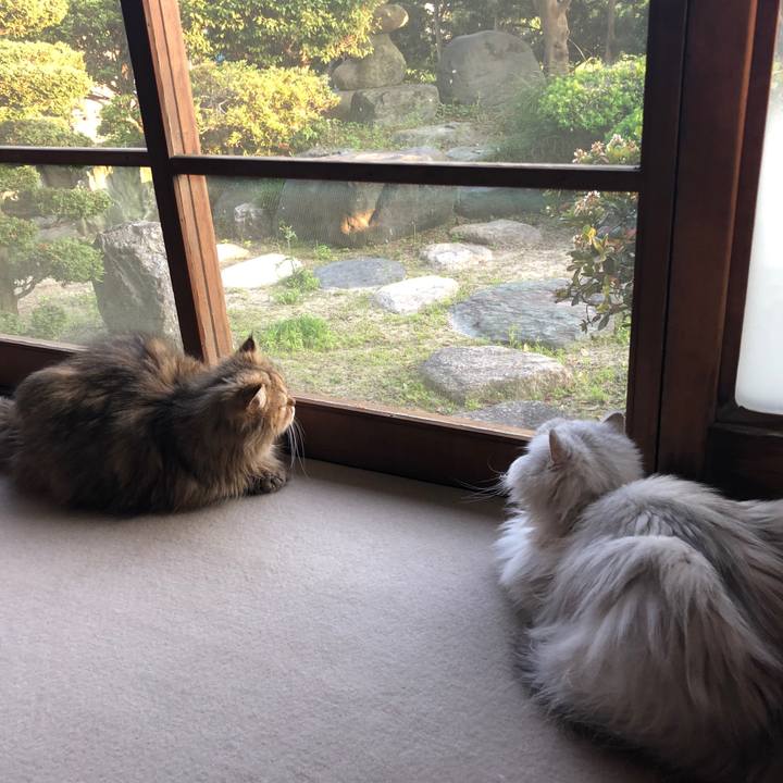 839006b4 ec41 49f3 a062 6b3fc6ad1066 1557565560282