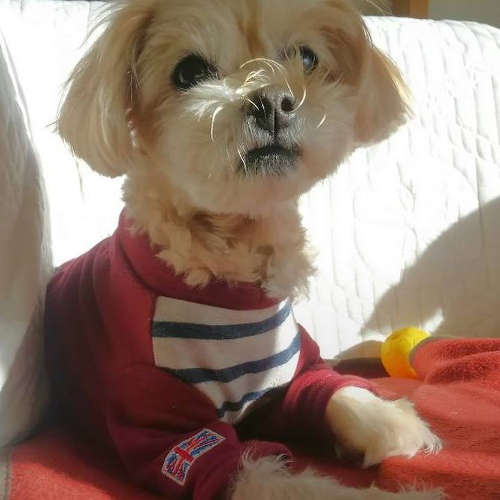 8390163f 9c1e 4307 901f 756e81e66a86 1664196175783