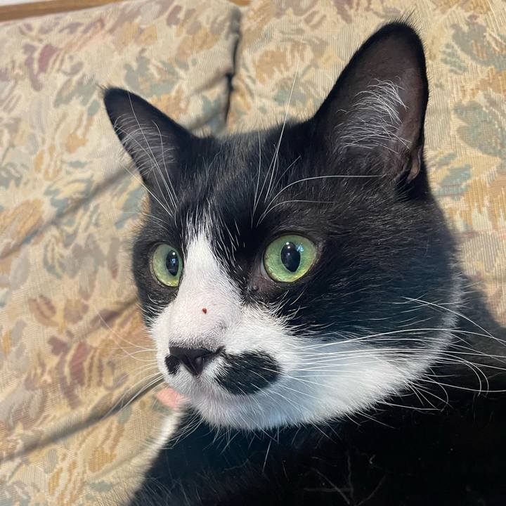 8390380e 0c06 4d02 900d f12159549bf4 1748042410579