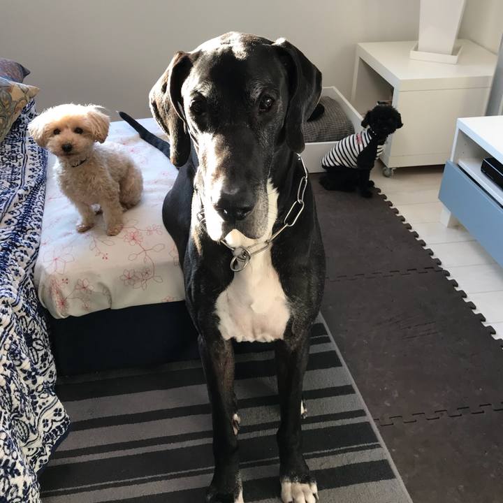 83903f76 f41e 447d bbf1 42b68aac75fd 1516920043255