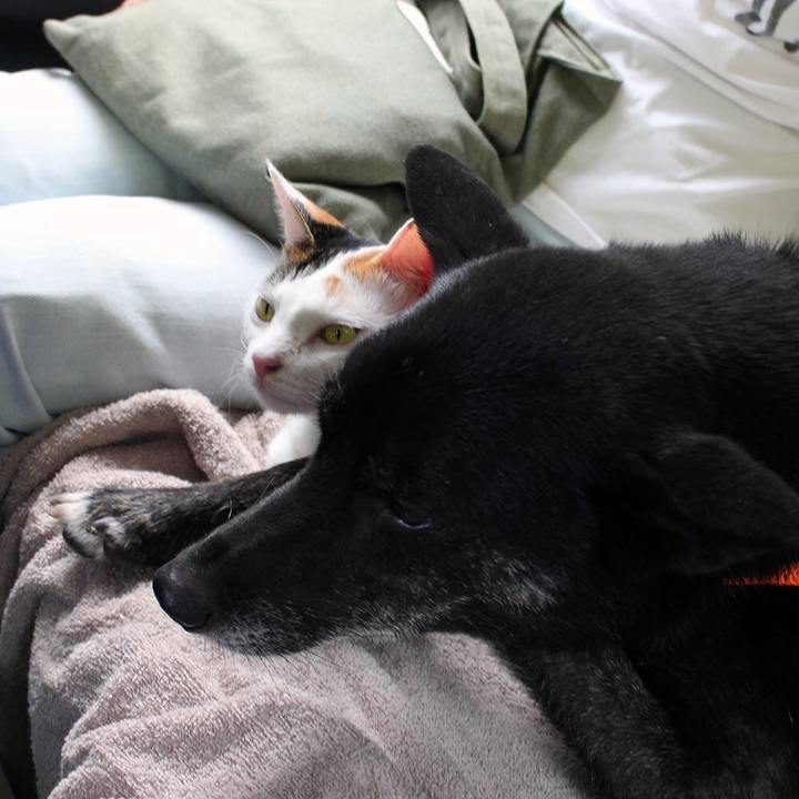 839047b3 b7a9 478a 8022 b49d873b2708 1597359248319