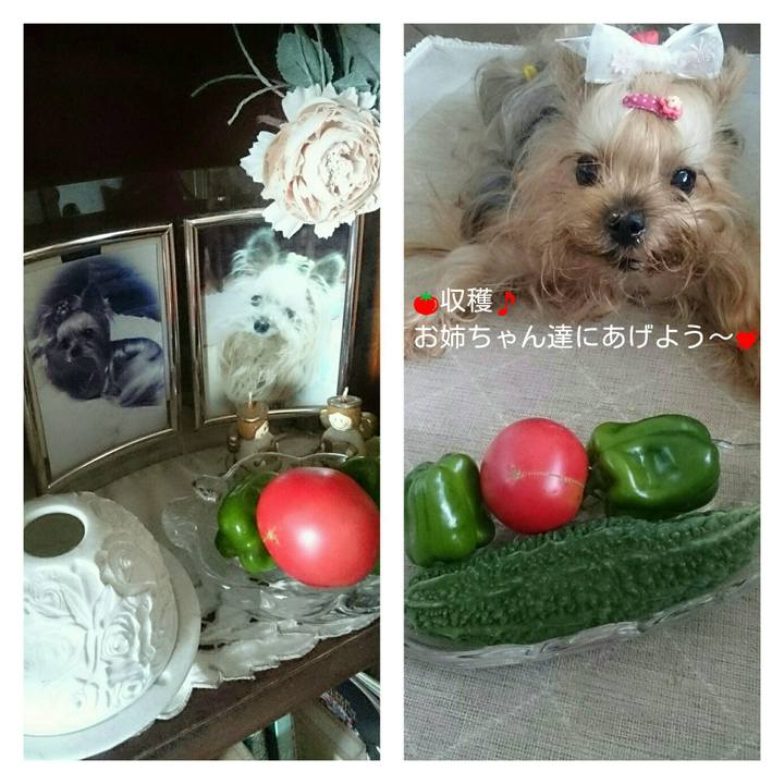 839098d3 325c 443d 8eb3 6007d516e251 1531639085807