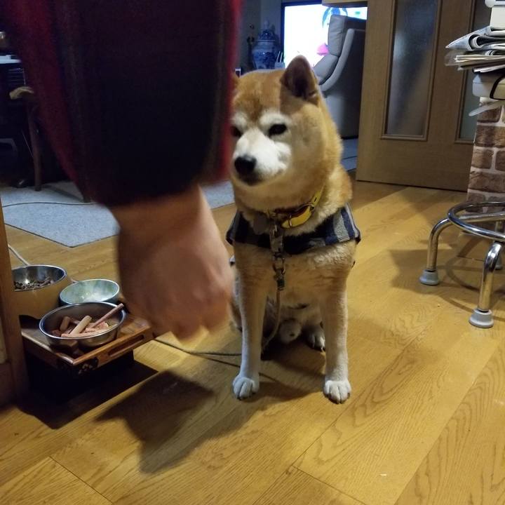 8390da80 a58d 4f88 a808 6623702b5be2 1675419415110