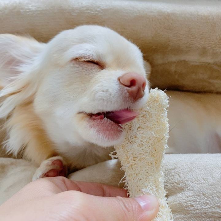 8390dcaf d02e 49c3 bd7d b0215d24d682 1613184812256