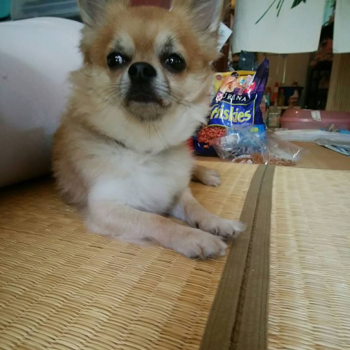 839101d3 f792 48a5 82bf 6f82232c936b 1531800710806