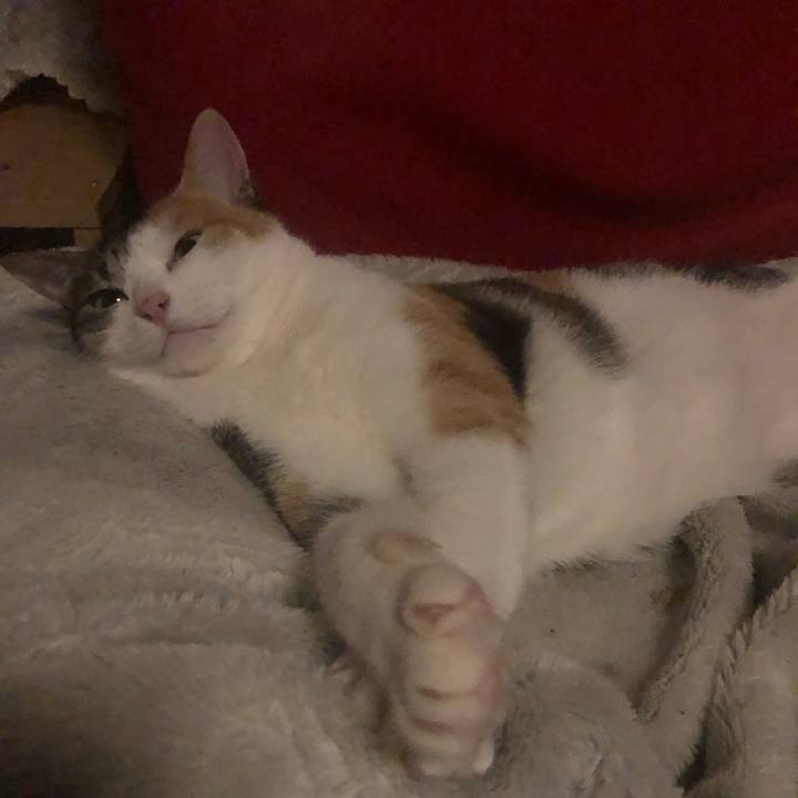 83914835 c24f 4130 8319 b968b55bfcd5 1609538511993