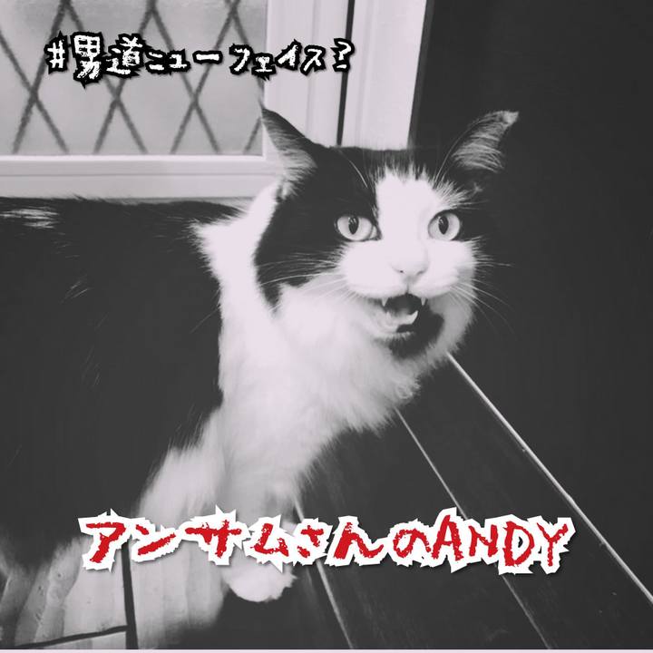 839196cf b24d 4c02 bb09 1bcfefd33101 1566475773095