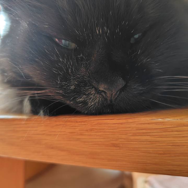 8391afd9 d321 47c4 89d4 e3a8e3e52457 1727653474810