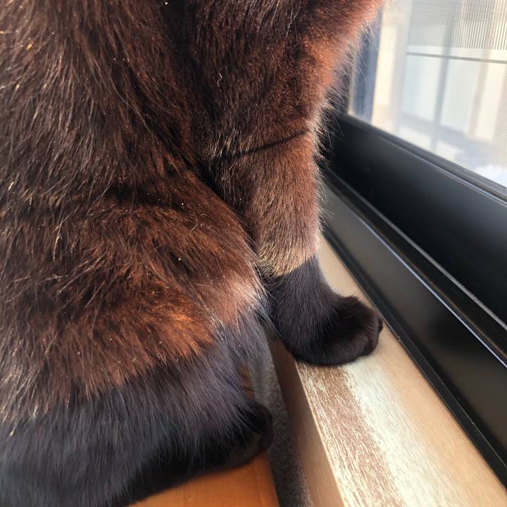 8391cb1d 4d92 435c 826a 06b71f6802db 1608246416524