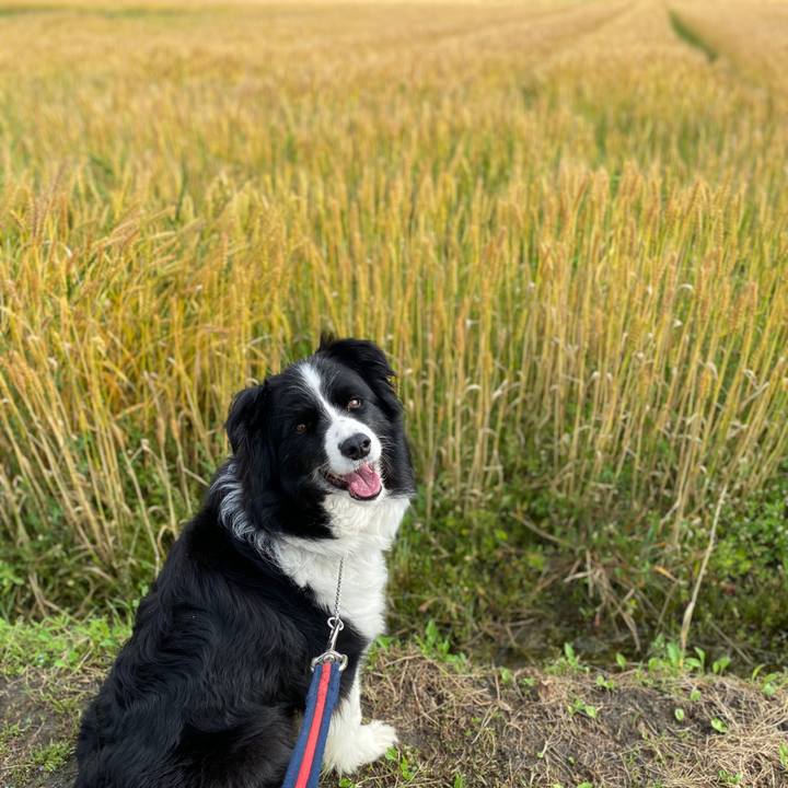 8391d4c5 f786 4e75 b5b6 6436557f2736 1589672574270