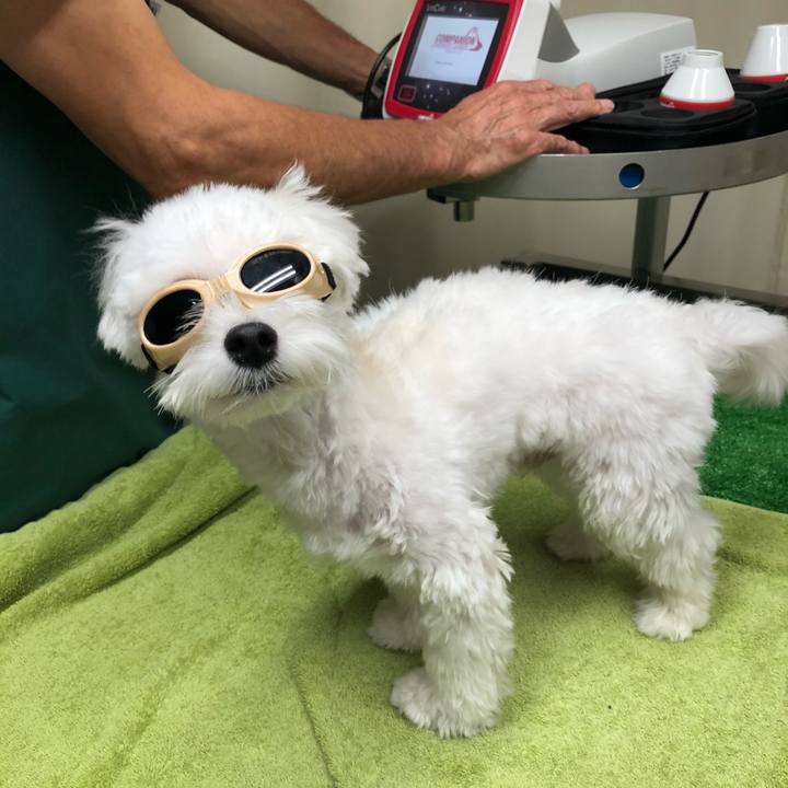 8391d7da 9d5a 4e58 a5de 0b5f05e1ad7e 1536982273157