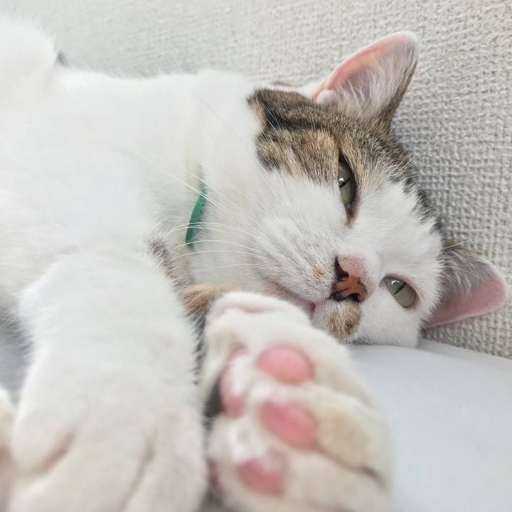 8392783a 5b13 450f 84ba 9ee883897e29 1563959861310