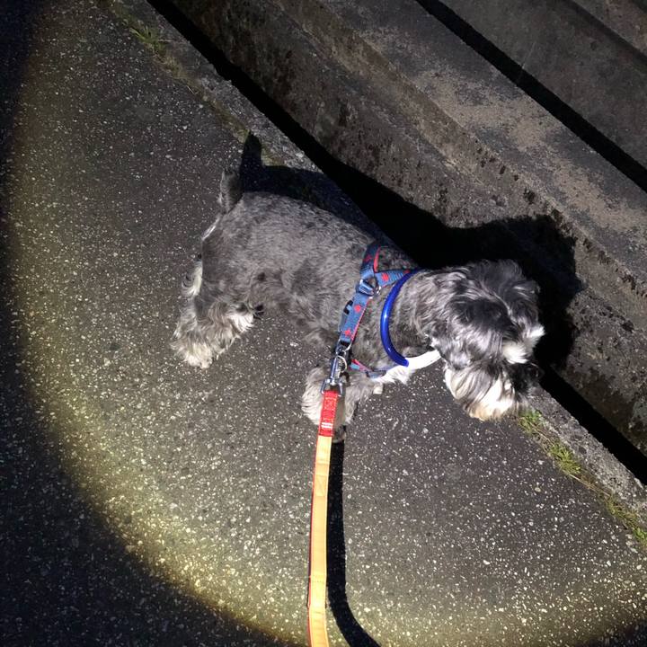 83927d1a a7bd 4029 bed7 78678a9f2fd6 1617116472479