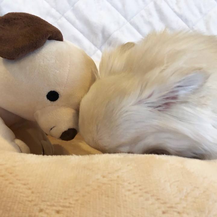 8392a017 b72f 433b 9886 b70c296b29bb 1530746001359