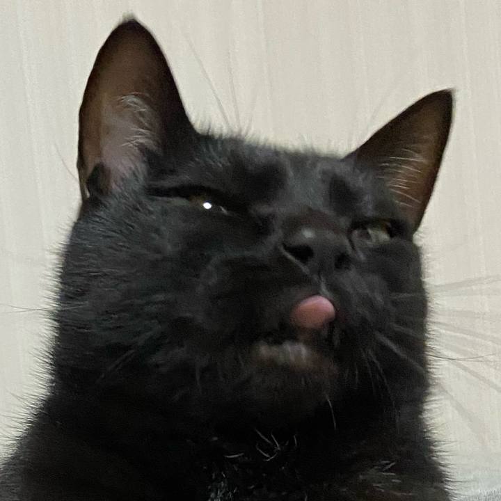 8392d6cc 677e 40fd 8d76 43f294e9b44e 1676292377085