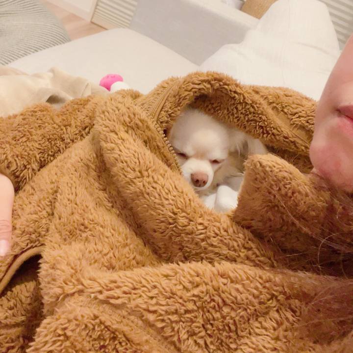 8392e5ef 4bad 4a7b b28c bd0674bd2438 1713958234264