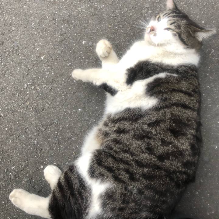 839334ad 9cec 46f2 9df1 af5935143057 1553262262085