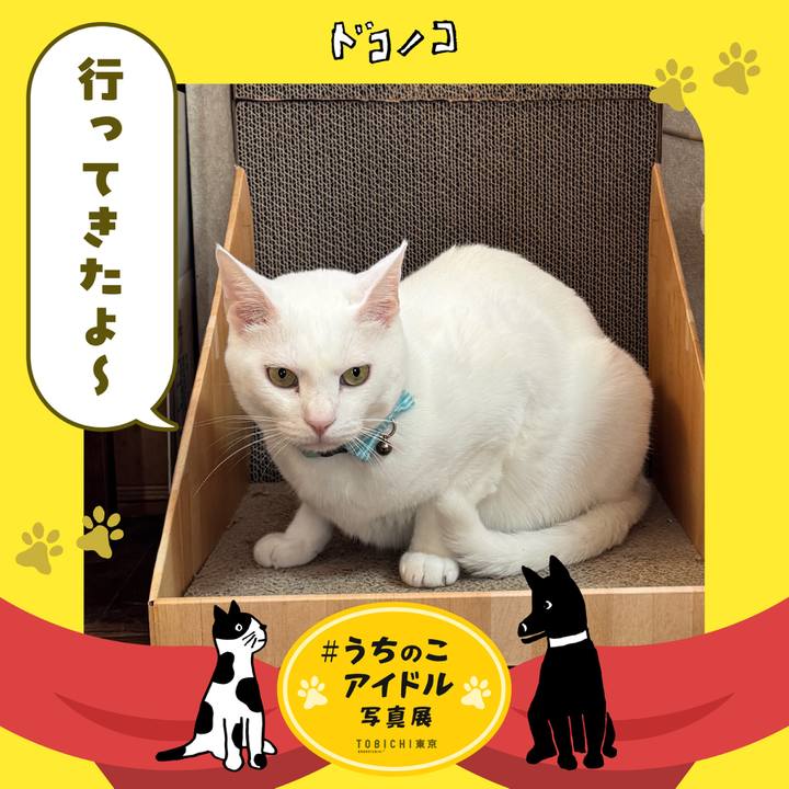 83936428 bf2b 4786 988a 26098be9f7ea 1761775995078