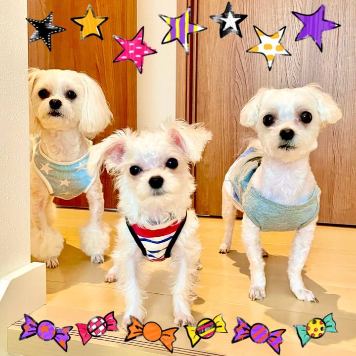 83938a40 493c 4a1c 8cda 615de9da8551 1634096201972