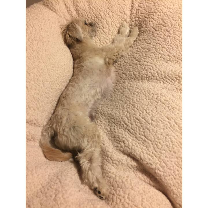 8393cdfe 45ff 403e 88f3 5d605a26ab0f 1519128700428