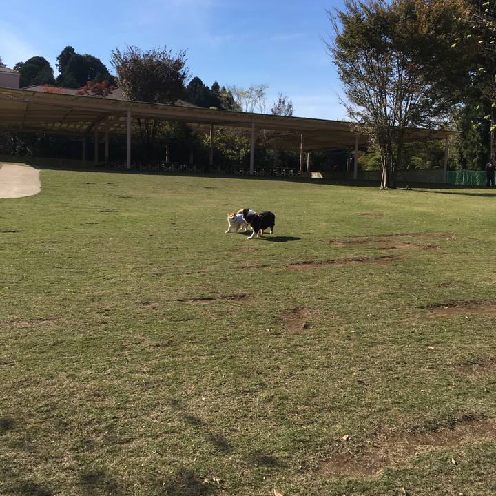 83942171 206b 4af3 ad8e d3273950a11b 1542340762981