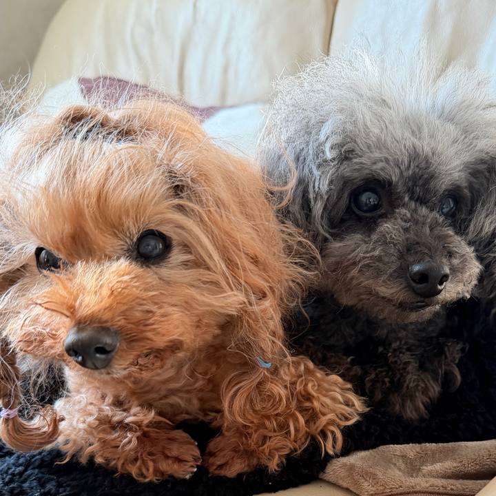 839451c6 8749 46d4 b6b8 91a588db8f08 1771545482000