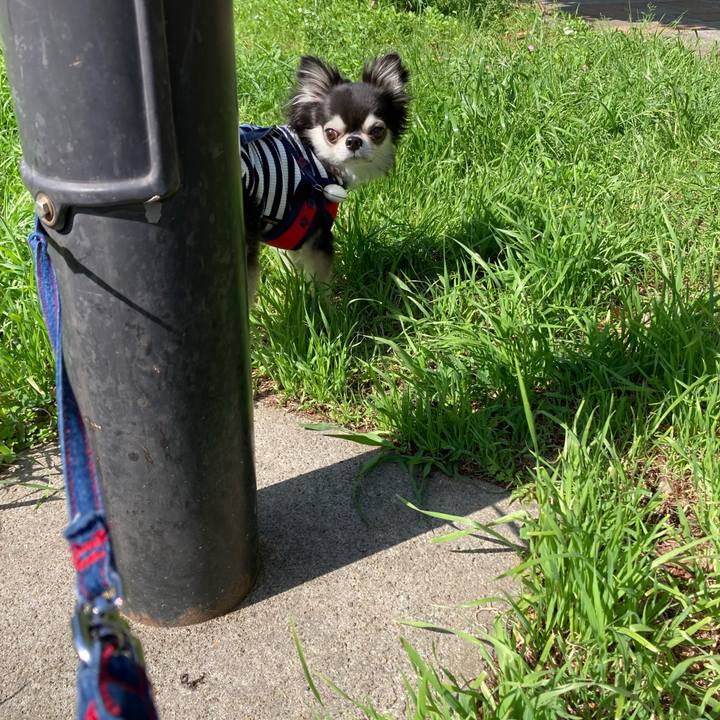 8394a464 6b56 4d4e a5ee e3e42d8ae4d6 1714840108905