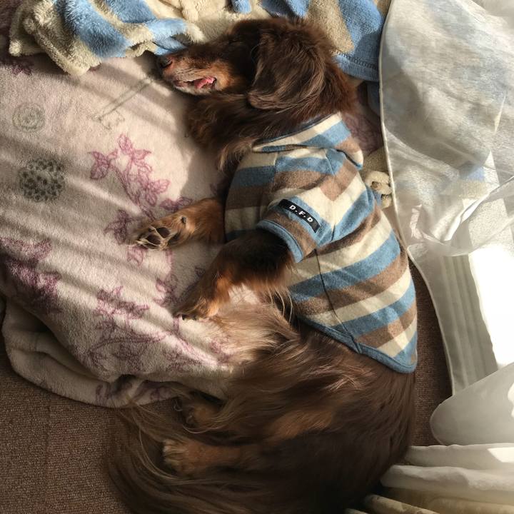 8394abd8 67d9 447a bfc2 a925388927d6 1515557991717