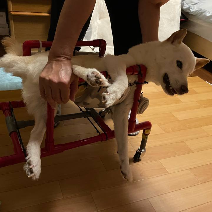 8394e3b2 e901 400d 82b3 b4b7b0eacfe2 1661852715216