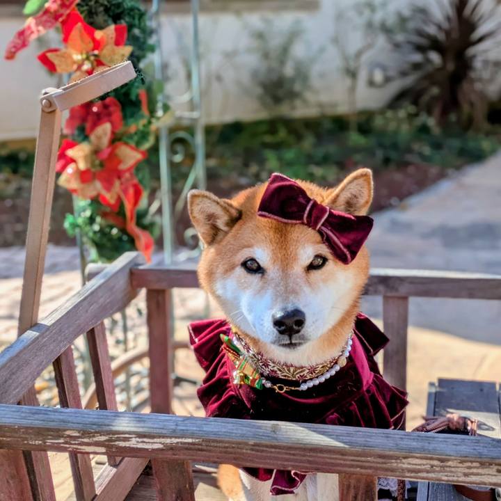 8394ede1 e9e5 4a04 abf9 e3e3965f4a57 1764993482121