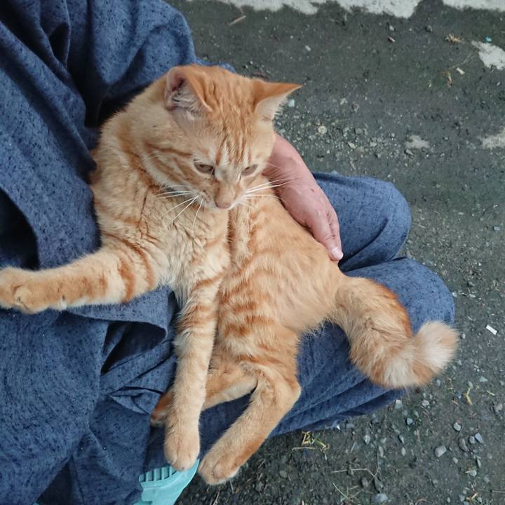 83950baa dd63 4313 be1f 565623c6cb17 1662152447194