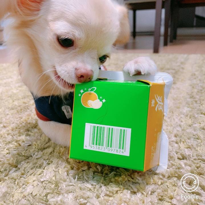 83952351 94da 40a0 b121 da0887d8c878 1598407034847