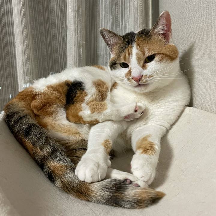 839524b3 0533 4ad0 b1ab c26da50c0623 1617969432476