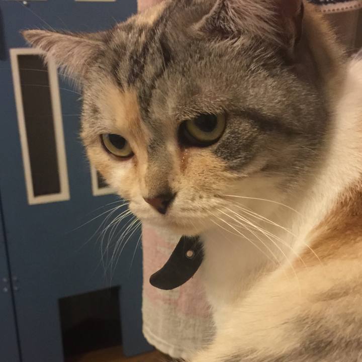 83958d6a 5483 4b35 85cd e0e4015dc2cc 1552921480669