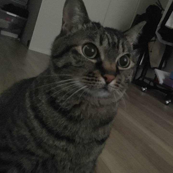 8395a426 77dc 4388 820a b32eb2ceeed6 1587162735375