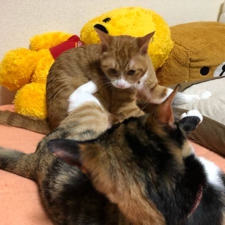 8395df83 d731 4b88 bbae ba2ed8e72f29 1554705288983