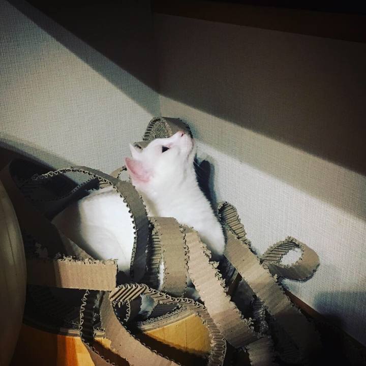 8395f96b 4d25 43f0 b1fb a583e676f546 1539905027121