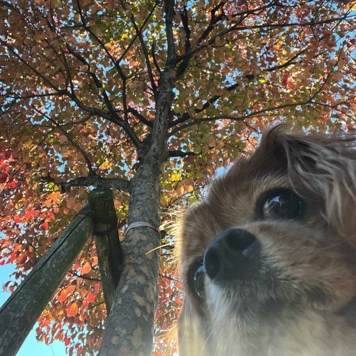 83960ebe 29c0 450c b59c ddbfeb543384 1731110011971