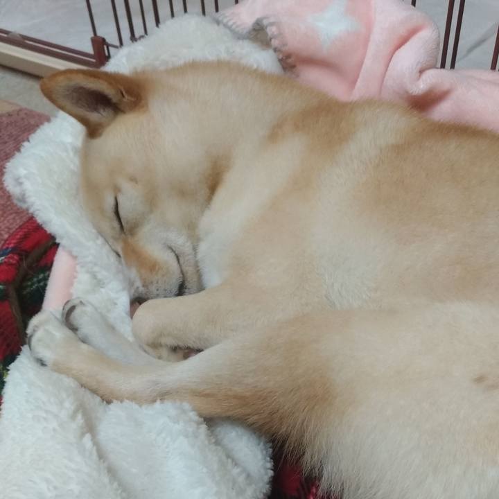 8396328a dcfa 4748 801e 98d55899812f 1547639892838