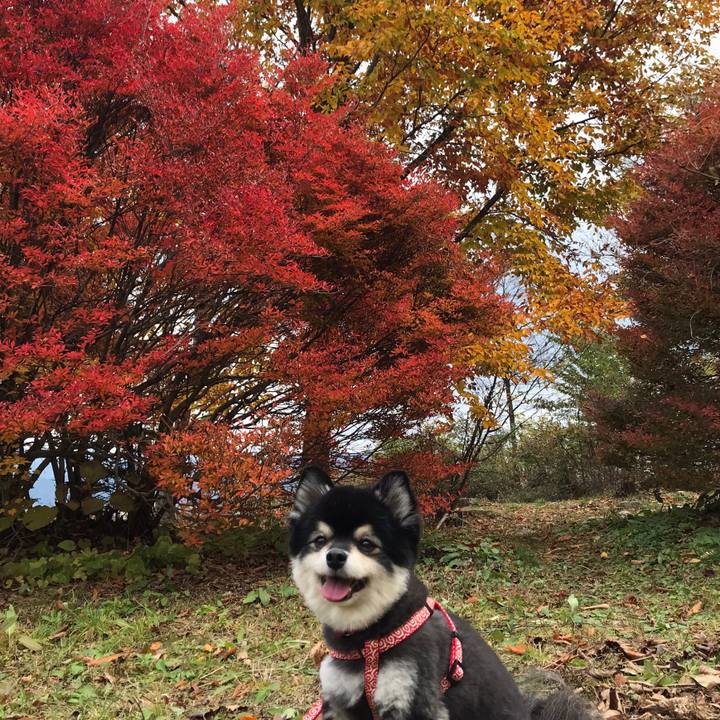 83966cae 086f 4fc2 be56 9b62d6835dc9 1606394495601