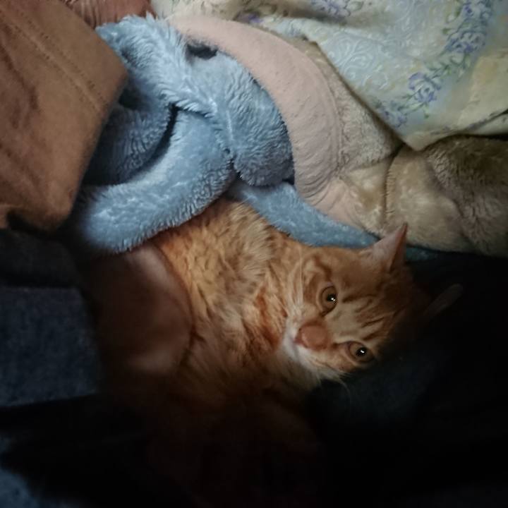 83968107 cd24 4bae ac4f c41496cffc00 1654638520362