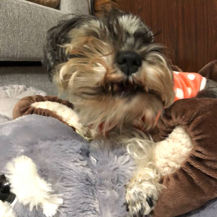 83968206 67af 4c96 9f66 3ccaf392eb6c 1580826226091