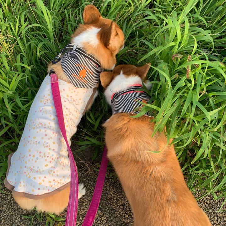 83968925 eb55 4df4 95d4 13765b679b71 1564351266881