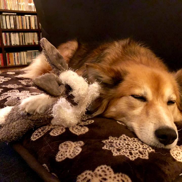 8396a265 80e2 45ae bad5 46f0565324b6 1514174110037