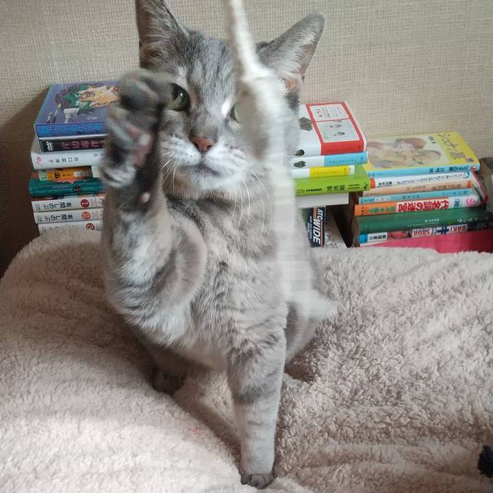 8396c48d d7ef 4649 a96c 485192277d4a 1642042944129