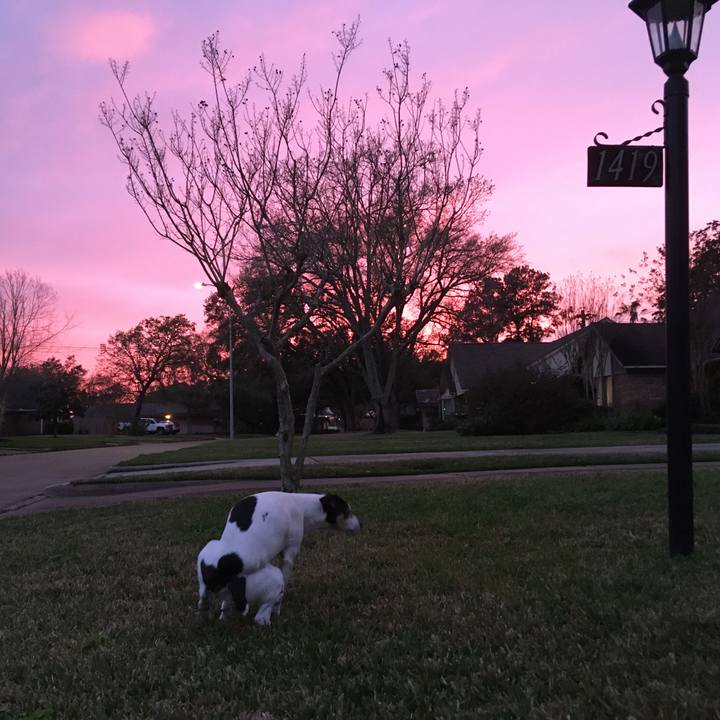 8396e33f acca 435f 81da f1ad5e5a341d 1581977150411