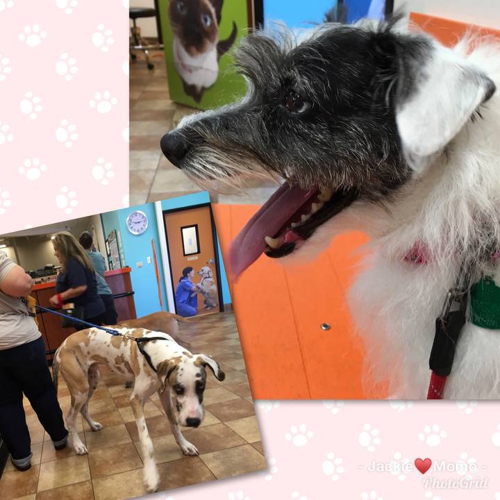 8396f95c 92f8 4819 ae91 72315e0b2dde 1570577836074