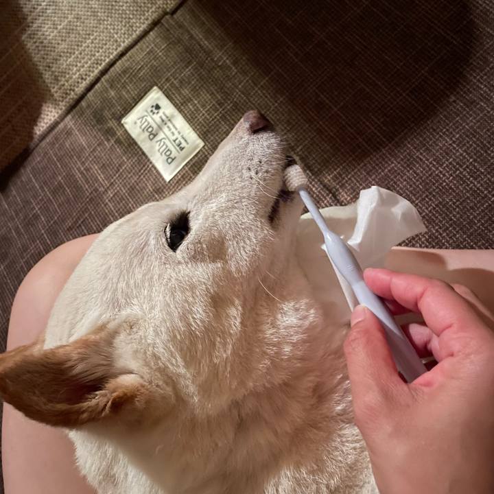 83971316 1281 4b36 b6d8 7d524b77bceb 1658237149124