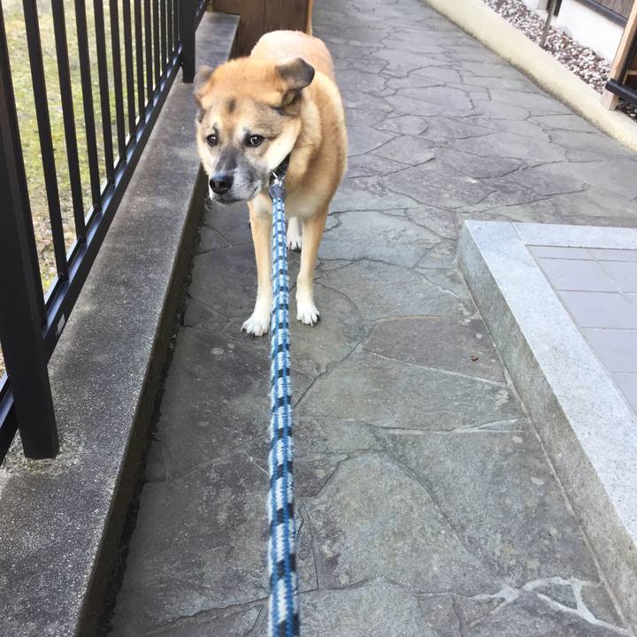 83973683 92ff 4b11 9f53 555f48012d08 1516357448081