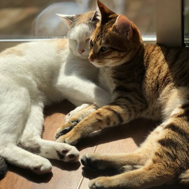 83975313 9ee3 4520 9933 367941a9e6dd 1562291691149